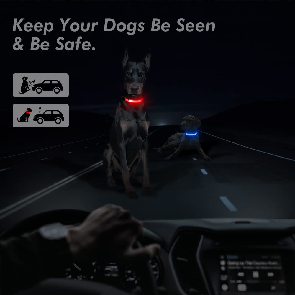 Bseen Light Up Dog Collars - Reflective Led Dog Collar, Adjustable Lighted Dog Collar, Rechargeable Glow Collars For Dogs, Flashing Dog Lights For Night Walking (Ruby Red, X-Large)