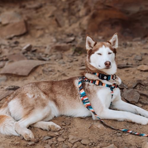 Wolfgang Heavy Duty Martingale Dog Collar With Quick Release Nylon Buckle For Walking & Training, Lostart Print, Medium