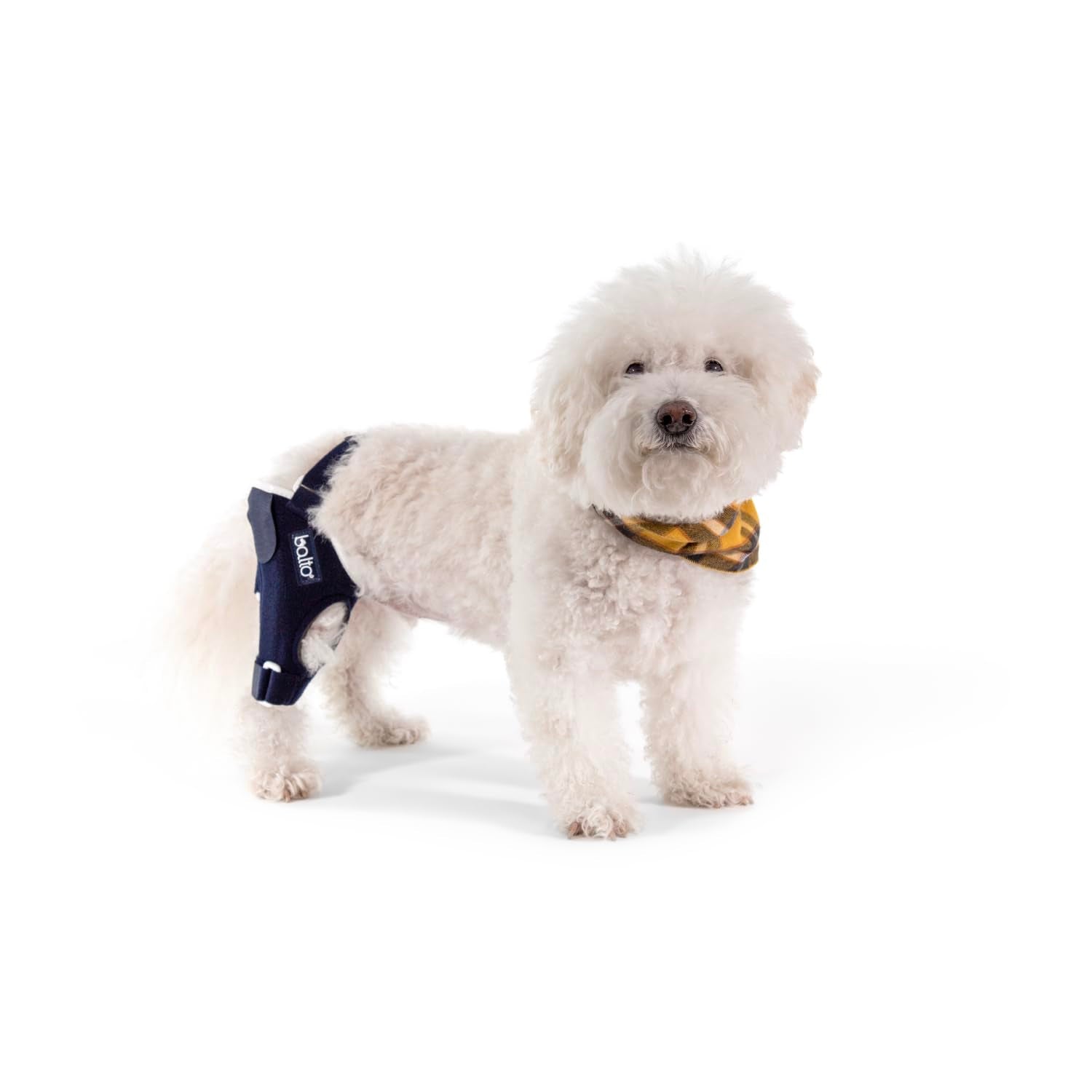 Balto Jump CCL Brace - Dog Knee Brace with Aluminum Splints - Pre/Post Surgery Support Helps Prevent New Injuries - Left Leg, Me
