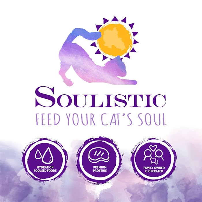 Soulistic Moist & Tender Variety Pack Wet Cat Food, 3 oz., Count of 8, 24 OZ