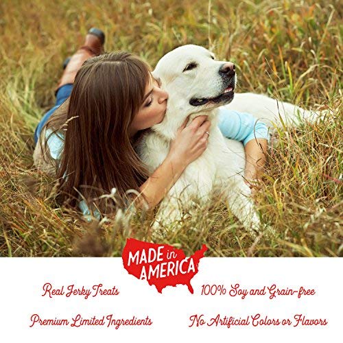 Farmland Traditions Filler Free Dogs Love Turkey & Sweet Potato Premium Jerky Treats for Dogs, 3 Pound Bag