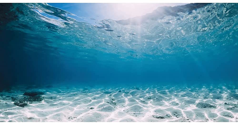 AWERT 48x20 inches Vinyl Undersea Ocean Floor Aquarium Background Tropical Tank Background