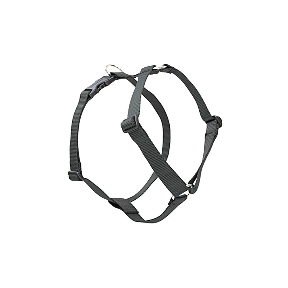 Lupinepet Basics 1/2' Black 12-20' Adjustable Roman Dog Harness For Small Dogs