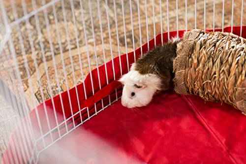 Prevue Pet Products 2 Pack Of Nature'S Hideaway Grass Tunnels, Medium, For Guinea Pigs Dwarf Rabbits And Ferret