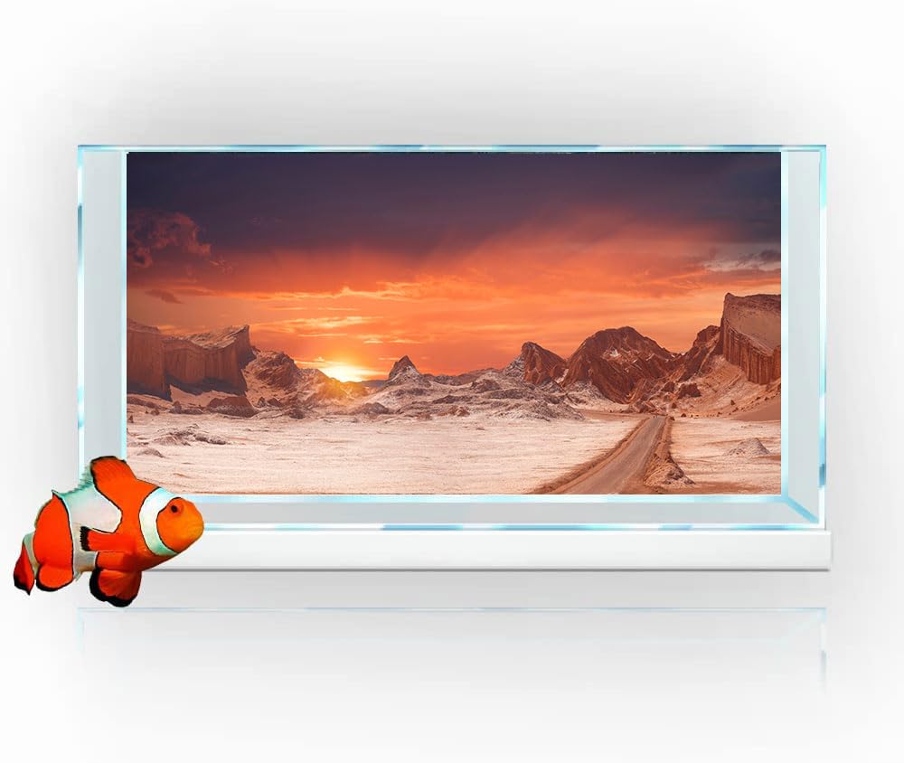 48X18IN Sun and Desert Moon Themed Reptile Habitat on Orange Durable Decorative Background, Terrarium Background with 10EVA Doub
