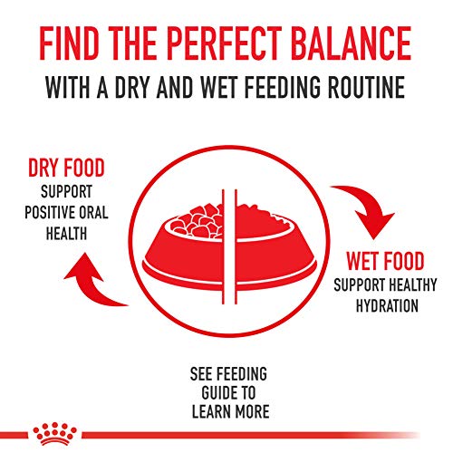 Royal Canin Medium Sensitive Skin Care Dry Dog Food, 6 lb bag