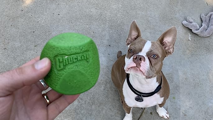 Chuckit! Fetch Medley Dog Ball Dog Toys, Medium (2.5 Inch) Pack Of 3, For Medium Breeds, Includes Erratic, Strato And Ultra Squeaker Balls