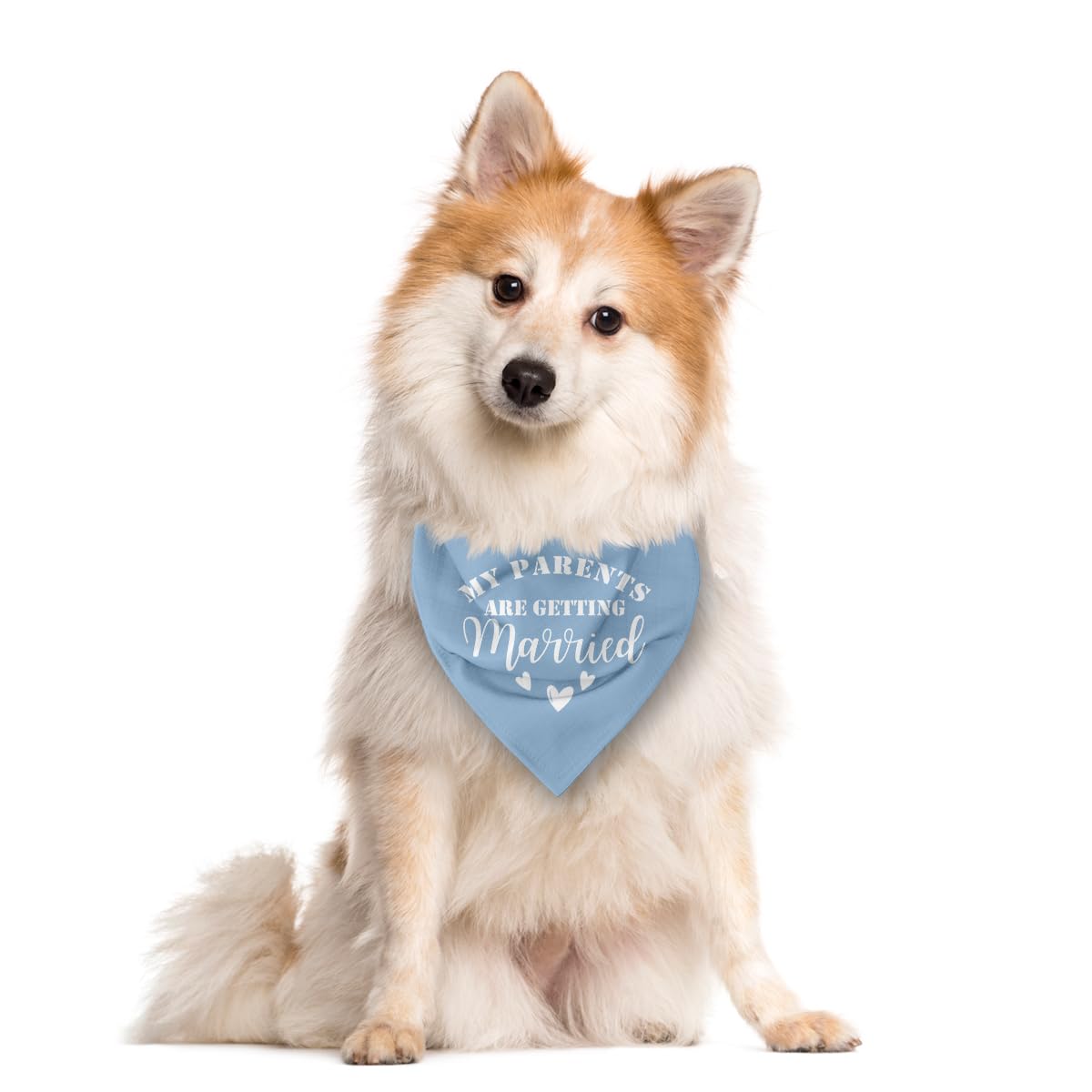 Zpprjf My Parents Are Getting Married Dog Bandana, Baby Blue Dog Bandana, Dog Wedding Bandana, Dog Engagement Bandana, Pet Dog S