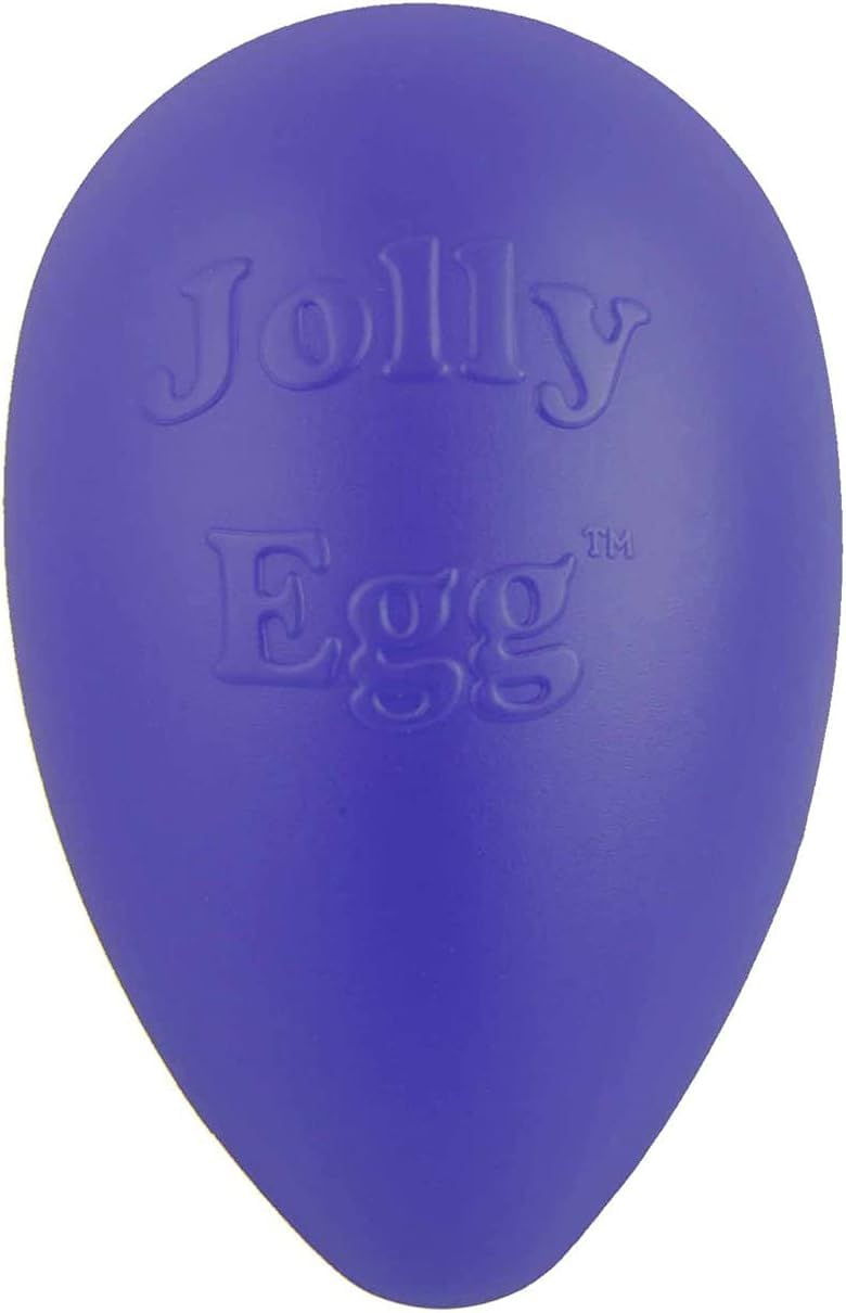 Jolly Pets Jolly Egg Plastic Dog Chew Toy 8 Inch Purple