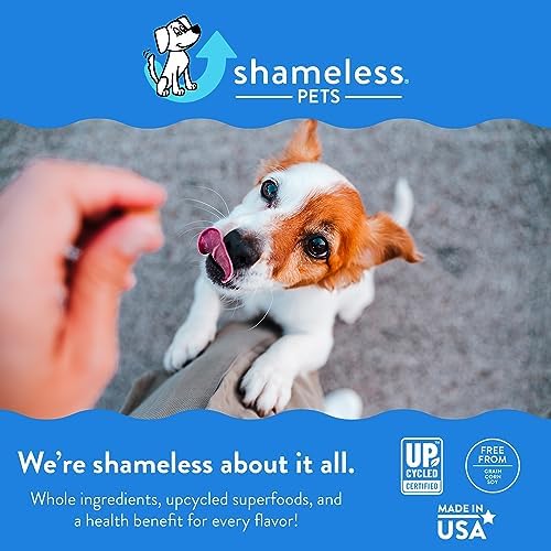 Shameless Pets Soft-Baked Dog Treats - Pumpkin Goats Milk Latte Grain-Free Dog Snacks for Medium & Large Dogs, Natural & Health
