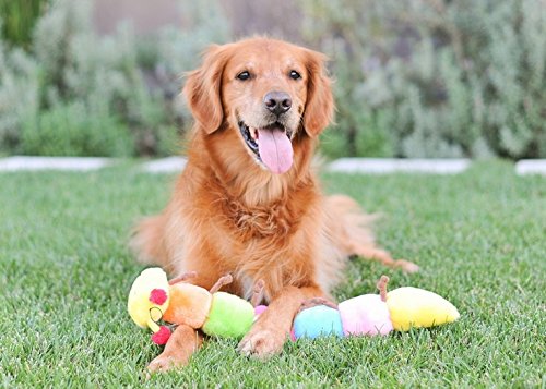 ZippyPaws Large Caterpillar Dog Toy - Soft Plush, 7 Squeakers, Multicolored, for Medium and Large Dogs, Model ZP033, 20"
