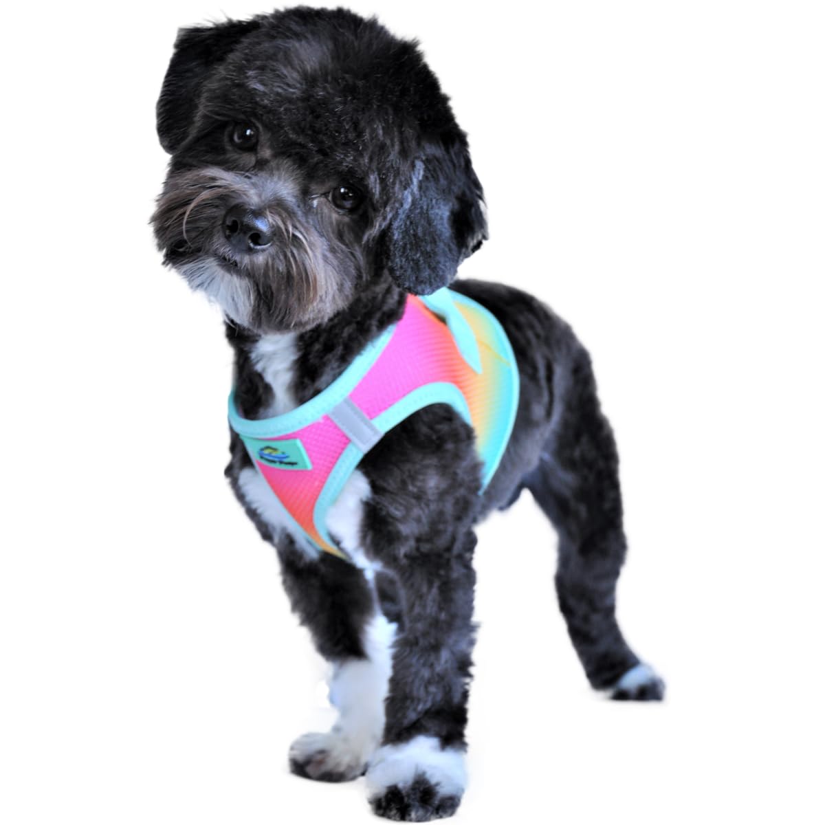 Doggie Design No Choke Dog Harness - Simple Step-In And Go Dog Vest For Small, Medium, And Large Breeds - Breathable Mesh Polyester Pet Harness - Beach Party - 2Xl
