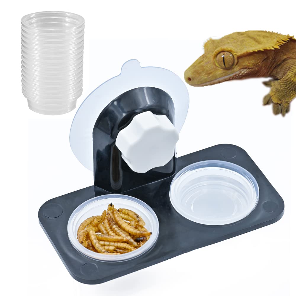 Mrtioo Enhanced Crested Gecko Feeding Ledge, Reptile Food Bowls And Water Dish For Lizard Or Other Small Pet Amphibian Feeder Ledge Accessories Supplies, With 20 Pcs 0.5Oz Food Cups