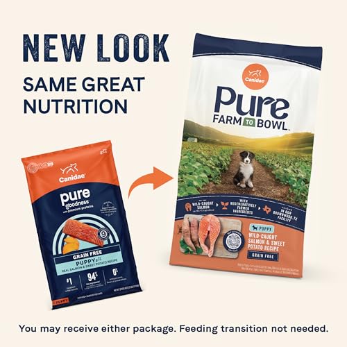 Canidae Pure Grain Free Dry Puppy Food, Real Salmon & Sweet Potato, 22 lbs.
