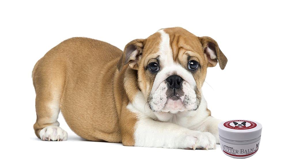 Warren London Hydrating Butter Balm- Dog Balm For Paws And Nose- Made In Usa- Unscented 4Oz