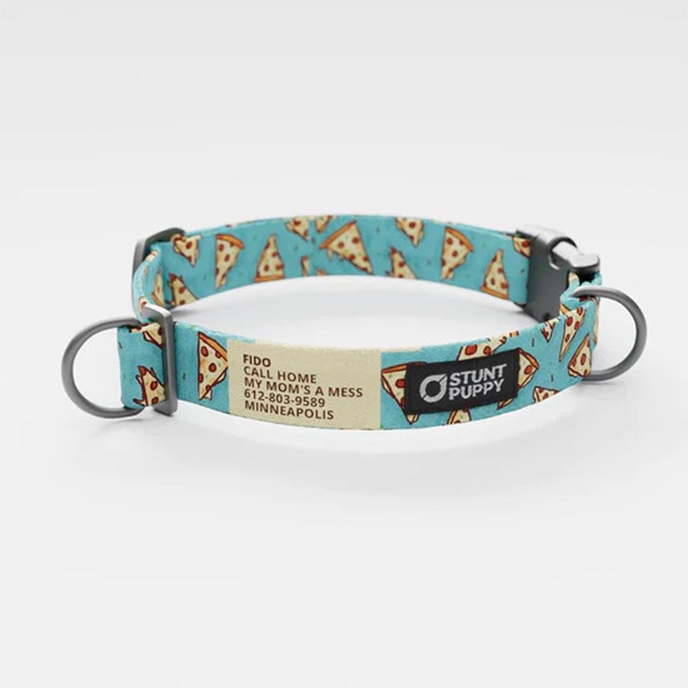 Jill Kittock Pizza Everyday Collar Medium