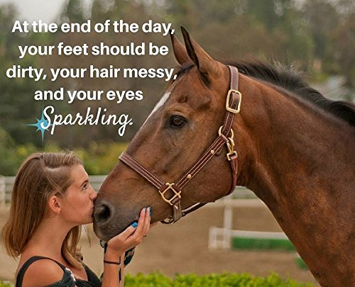 Nutrigood Senior Snax Horse Treats - Apple Flavor - Made with Omega 3 Fatty Acids, Biotin, and Glucosamine - 2 Pounds