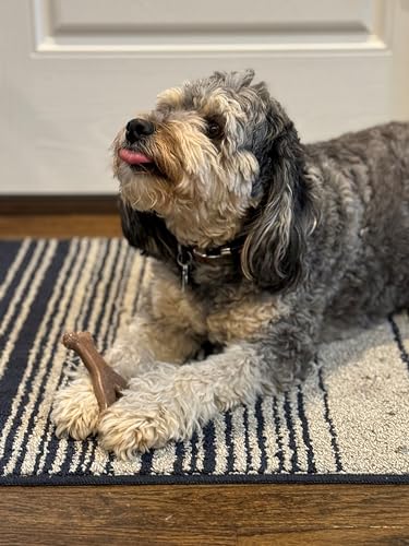 Spot Ethical Pets 54312 Bambone Wish Bone Chicken Pet Chew Toys