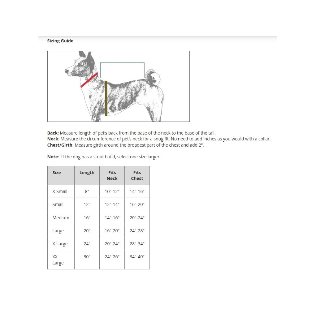 Zack & Zoey Basic Hoodie For Dogs, 20' Large, Heather Gray