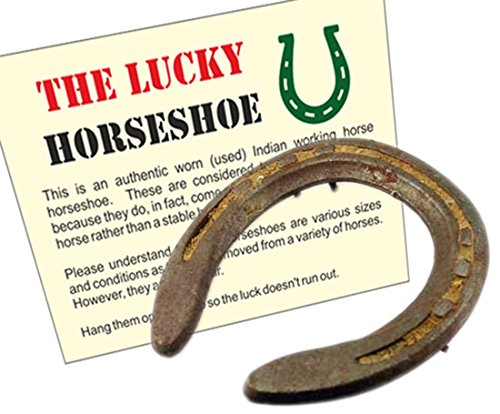 Wonder Care Horseshoe Authentic Used Horseshoe Good Luck Charm Rustic Auspicious Lucky Gift Cast Iron Real Horseshoe for Wall De