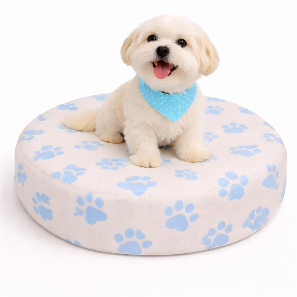 DUKE&LEFTY Furever Pet Dog Bed Slipcover-Stretch Soft Petbed Cover-Universal-Easy to Remove (Zipper Free)-TanBlue/Small