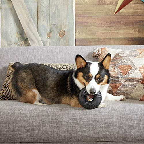 Barkbox Super Chewer Tough Dog Chew Toys For Aggressive Chewers, Dental Stimulating (Radius - Large)