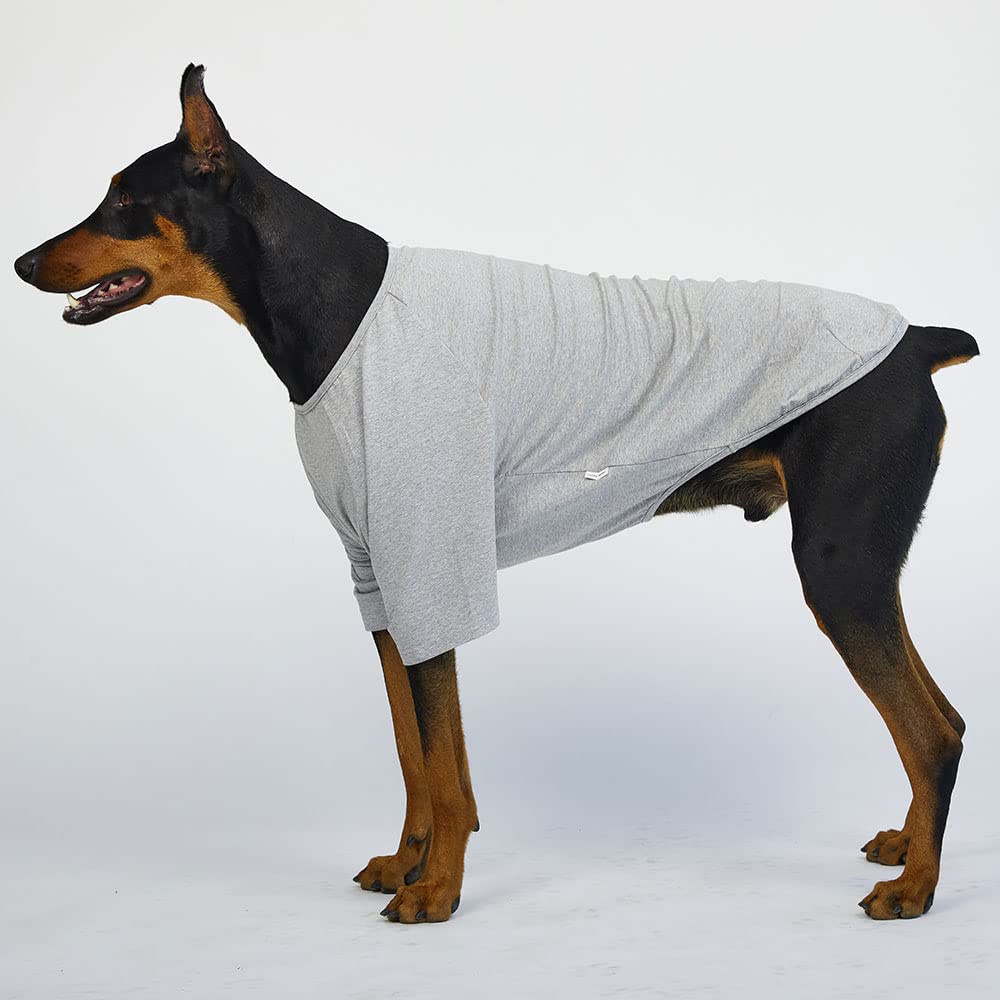 Lucky Petter Dog Shirt For Small Dogs Plain T-Shirts Soft Breathable Dog Cotton Shirt Pet Clothes (X-Large, Gray)