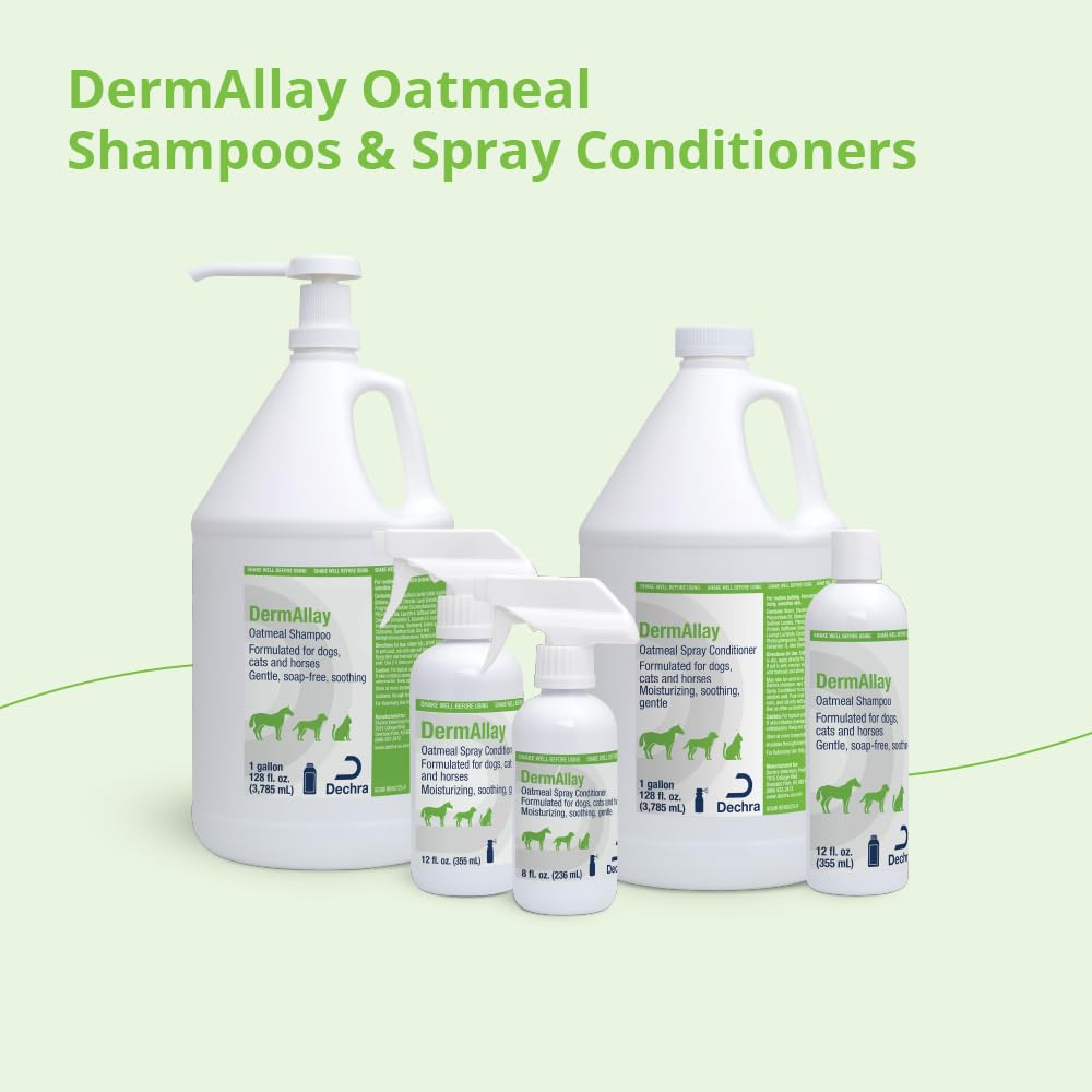 Dermallay Oatmeal Shampoo, 12 Ounce
