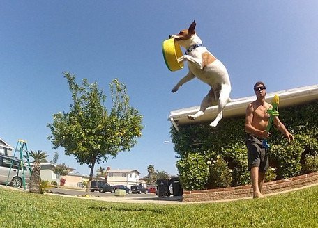 Hurrik9 Dog Ring Launcher, Starter Pack Launcher + 3 Standard Rings