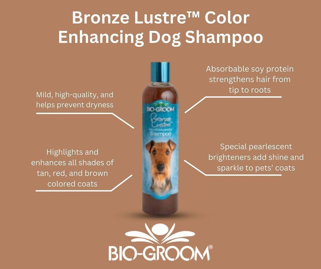 Bio-Groom Bronze Lustre Dog Shampoo - Color Enhancing Pet Shampoo, Dog Bathing Supplies, Puppy Wash, Dog Grooming Supplies, Cruelty-Free, Made In Usa, Coat Brightener Shampoo -12 Fl Oz 1-Pack