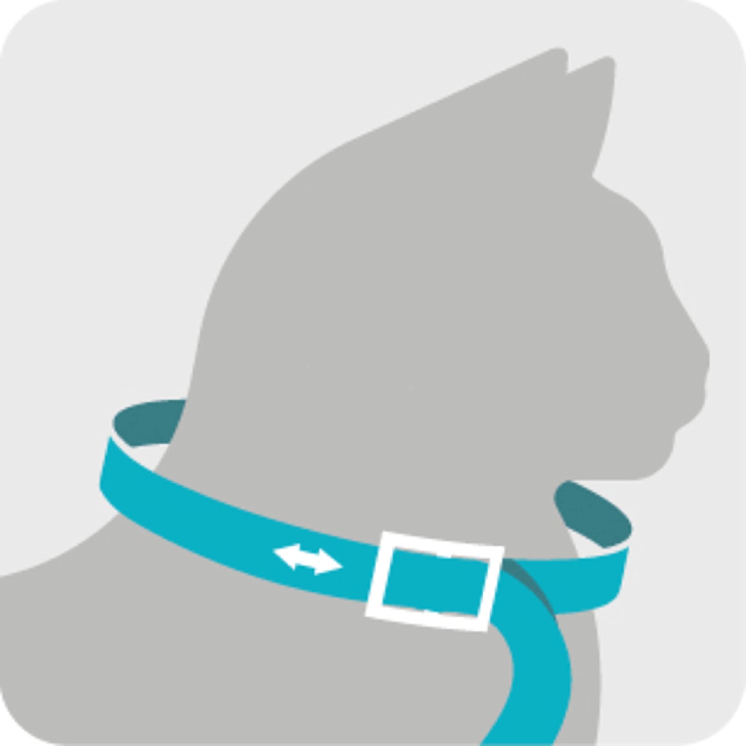 Sergeant'S Guardian Flea & Tick Cat Collar, 1 Count