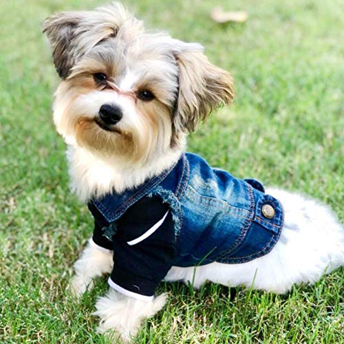 MISSPET Soft Blue Jeans Denim Cute Pet Dog Puppy Coat Jacket Clothes Costume Apparel Hoodies for Small Medium Dog