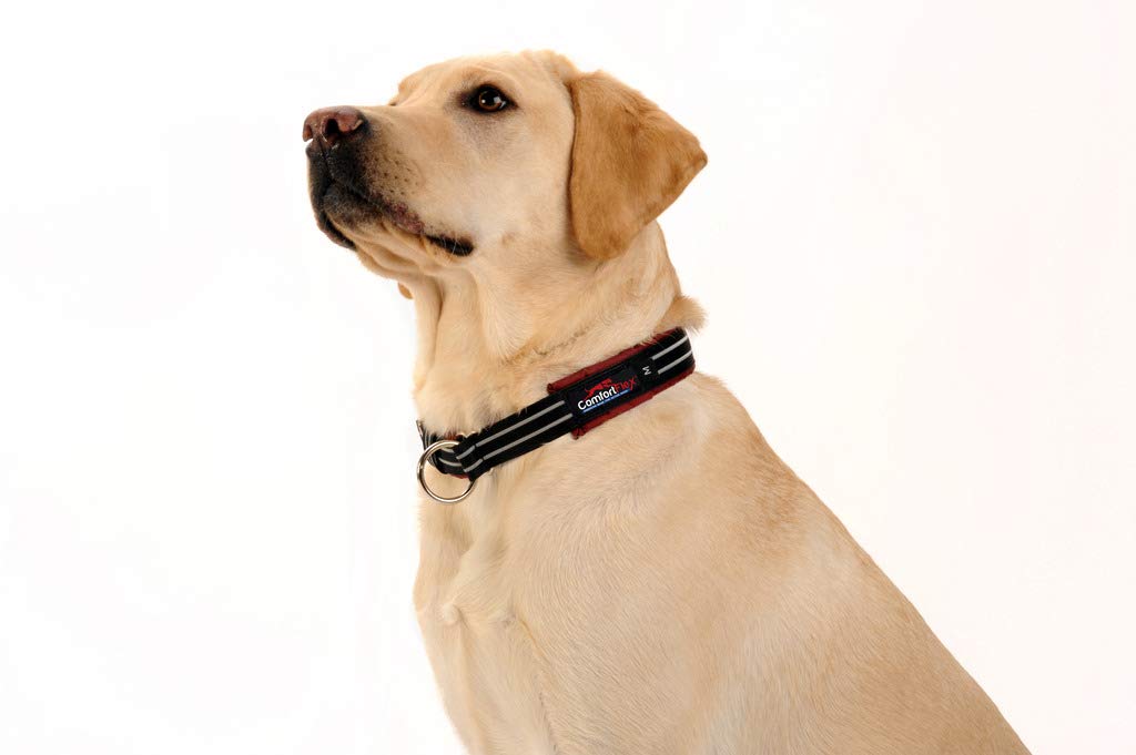 Comfortflex Martingale Dog Collar - 1.5' Wide, Reflective, Adjustable, Fully Padded Nylon, Gentle Control, Escape-Proof, Limited Slip Design, Made In The Usa, Large, Purple