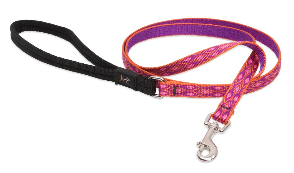 Lupinepet Originals 1/2' Alpen Glow 6-Foot Padded Handle Leash For Small Pets