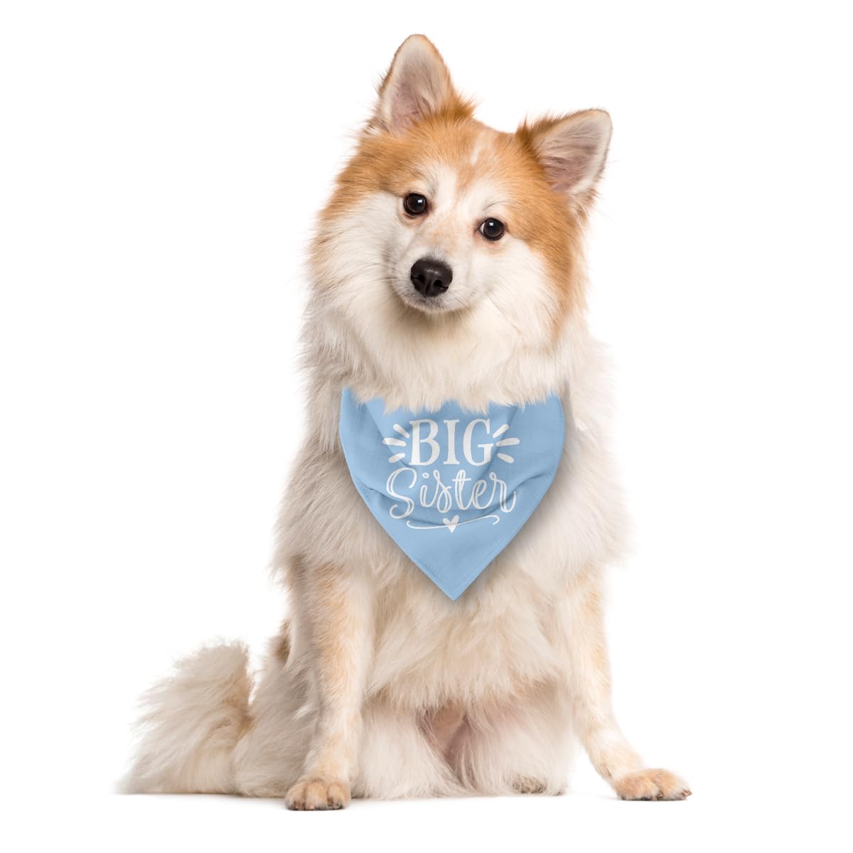 Big Sister Dog Bandana, Light Blue Pet Scarf Accessories, Pet Triangle Scarf, Dog Bandana For Small Medium Dogs, Baby Announceme
