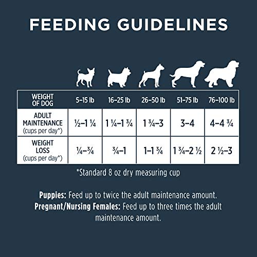 Instinct Raw Boost, Natural Dry Dog Food with Freeze Dried Pieces, High Protein, Whole Grain Recipe - Real Lamb & Oatmeal, 4.5 l