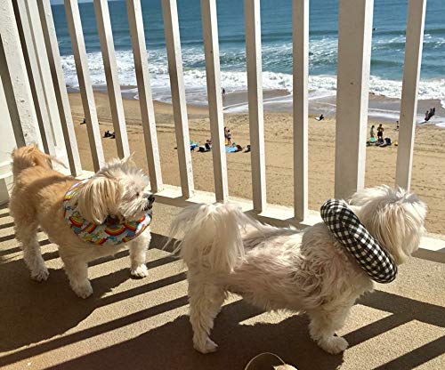 Puppy Bumpers Tossed Donuts Keep Dogs On The Safe Side Of The Fence (Up To 10')