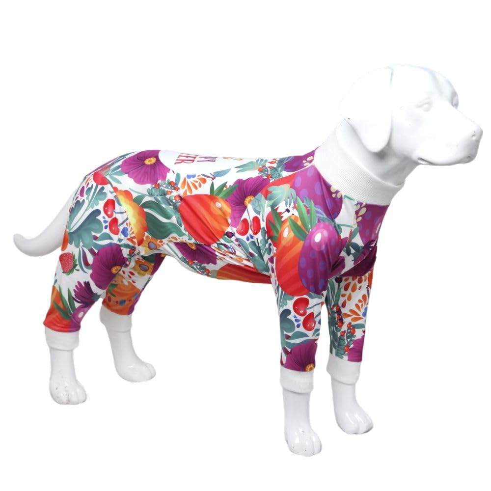 Xqpetlihai Dog Onesie Surgery Recovery Suit for Medium Large Dogs Recovery Shirt for Abdominal Wounds or Skin Diseases Bodysuit 