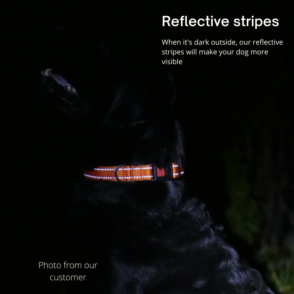 Collardirect Reflective Dog Collar For A Small, Medium, Large Dog Or Puppy With A Quick Release Buckle - Boy And Girl - Nylon Suitable For Swimming (10-13 Inch, Pink)