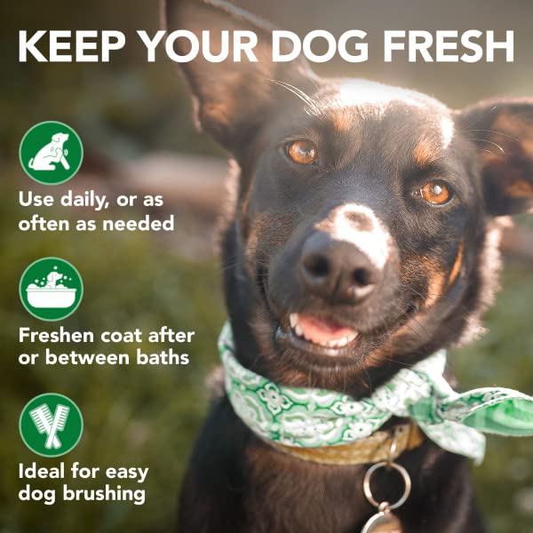 Vet'S Best Moisture Mist Dog Dry Skin Conditioner| Dog Conditioner And Detangler Spray | Relieves Itchy Skin, Refreshes & Soothes | 16 Oz