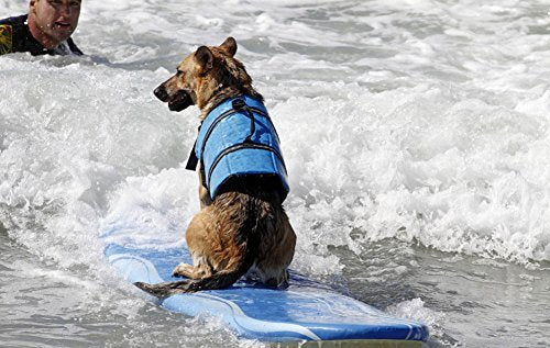 Haocoo Dog Life Jacket Vest Saver Safety Swimsuit Preserver With Reflective Stripes/Adjustable Belt Dogs?Blue Bone,Xs