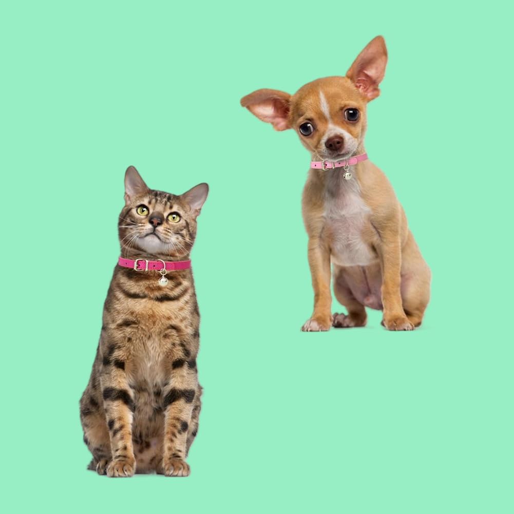 White Dog Collar With Bell,Kitten Collars With Bell,Soft Pu Leather Dog Collar Bells For Small Dogs Adjustable Buckle For Xxs Ex