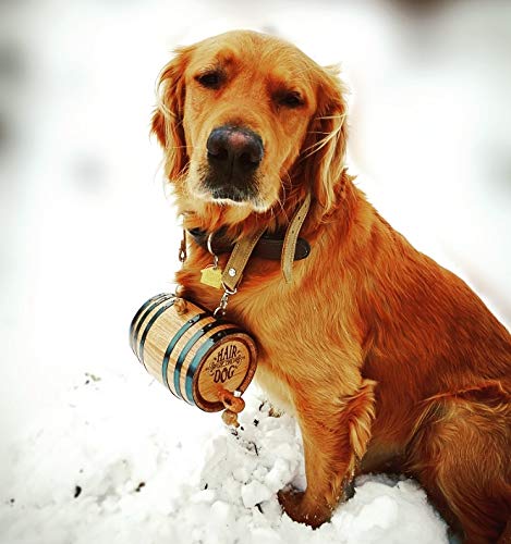 St Bernard Whiskey Barrel Collar For Dog, 'Hair Of The Dog' - 1/2 Liter Oak Aging Barrel Dispenser For Saint Bernard Dogs With Adjustable, Real Leather Harness Strap