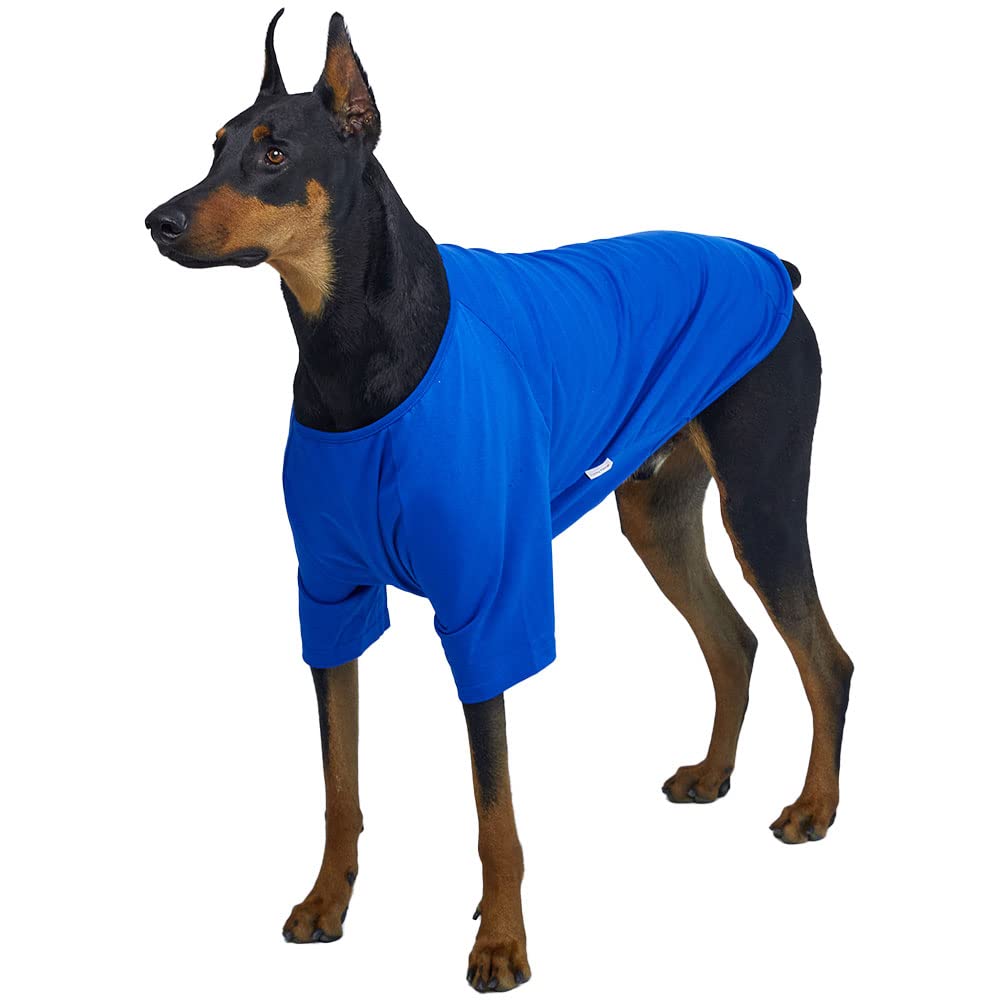 Lucky Petter Dog Shirt For Small Dogs Plain T-Shirts Soft Breathable Dog Cotton Shirt Pet Clothes (4X-Large, Blue)