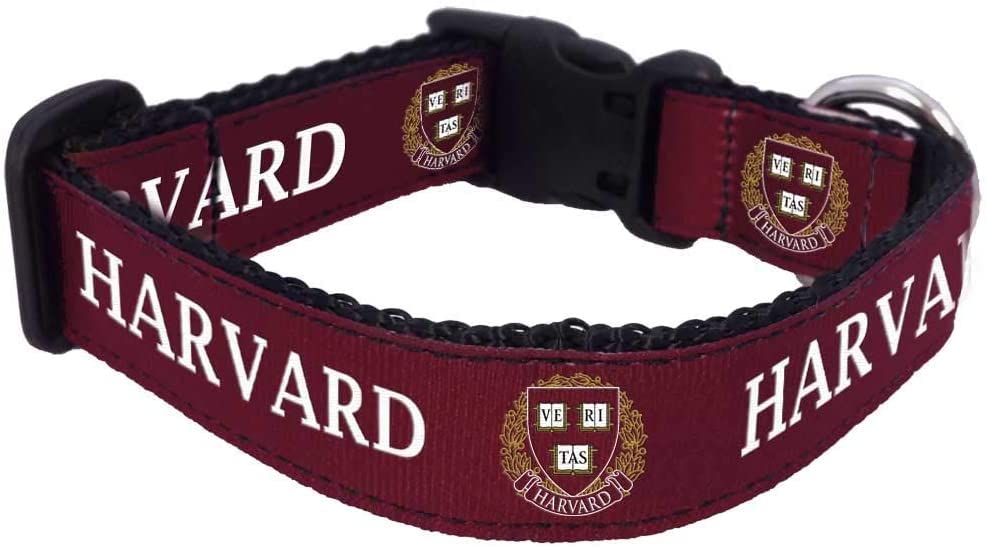 College Dog Collar (Large, Harvard)