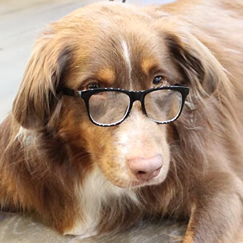G003 Dog Pet Clear Lens Glasses For Costume Prop M Breeds 18-40Lbs (2-Pk 80S Black-Clr+80S Black-Cl)
