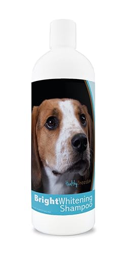 Healthy Breeds American English Coonhound Bright Whitening Shampoo - Ph Balanced - Enhance Color & Shine While Moisturizing & Conditioning - Pina Colada Scent - 12 Oz