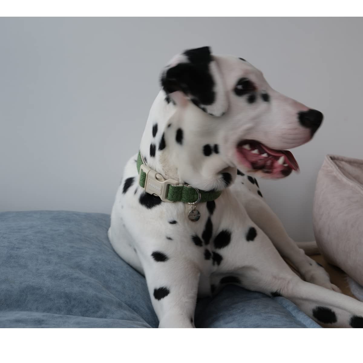 Dogwong Cotton Hemp Dog Collar - Heavy-Duty Green Adjustable Soft Natural Fabric Pet Collar, Cute Wedding Puppy Necklace For Sma