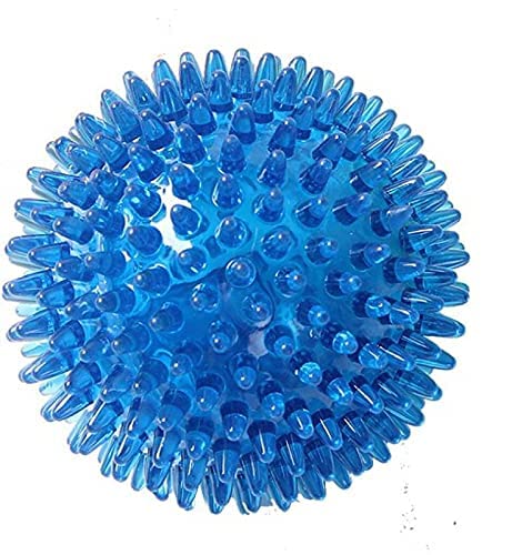 RvPaws Solid Spike Ball Toy for Small and Medium Dogs Its 100% Natural & Safe ColorBlue
