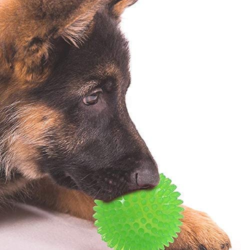 RvPaws Pet Puppy Dog Squeaky Chew Toys for Aggressive Chewers Dental Teething Cleaning [NonToxic Soft Natural Rubber], Cute Cry